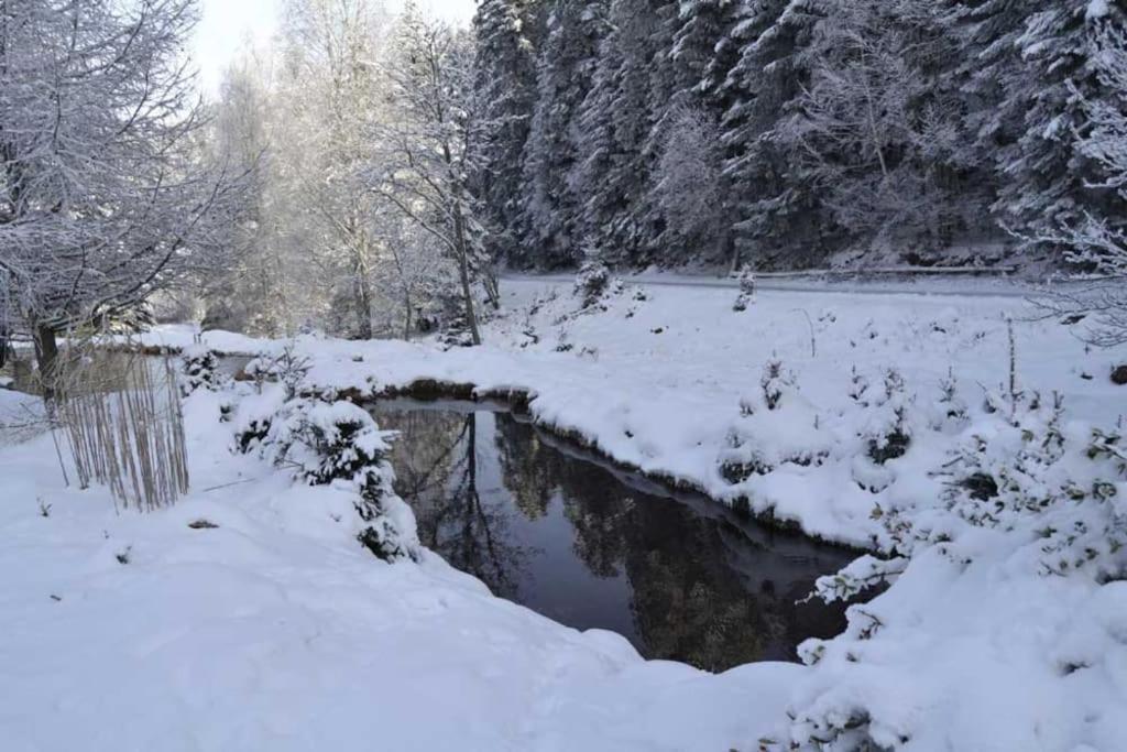 Gite Gretel De La Ferme Du Schneeberg ワンジャンブール エクステリア 写真