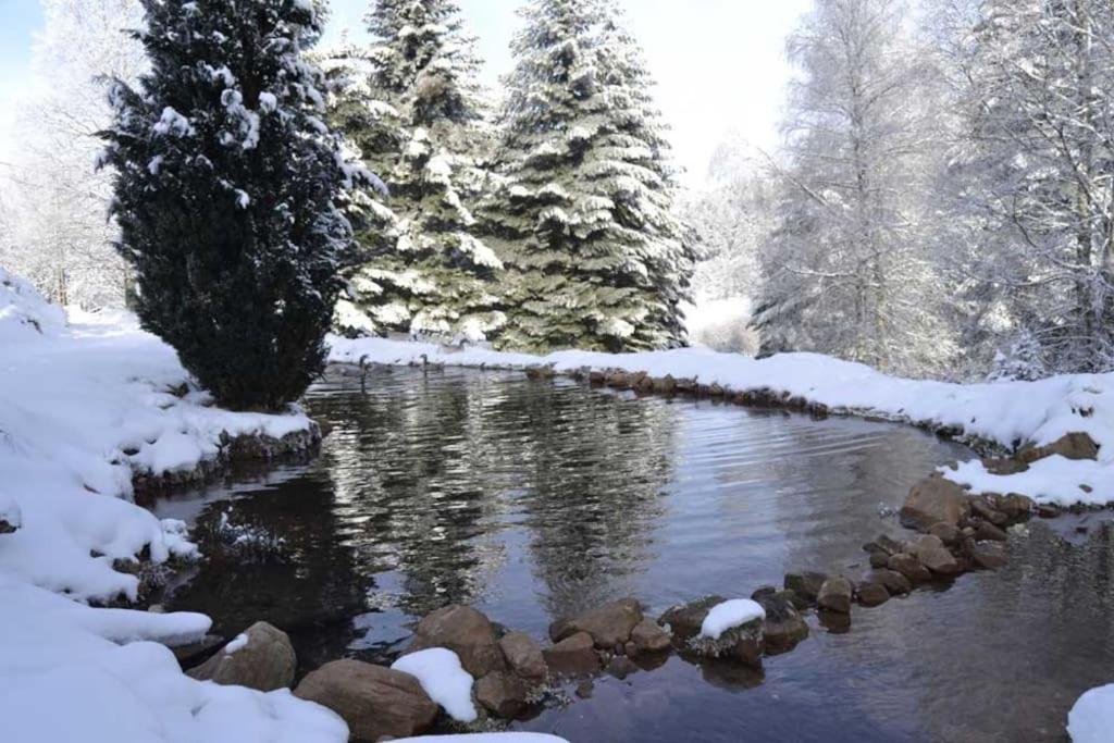 Gite Gretel De La Ferme Du Schneeberg ワンジャンブール エクステリア 写真