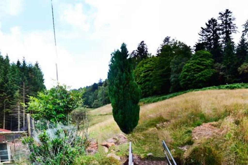 Gite Gretel De La Ferme Du Schneeberg ワンジャンブール エクステリア 写真