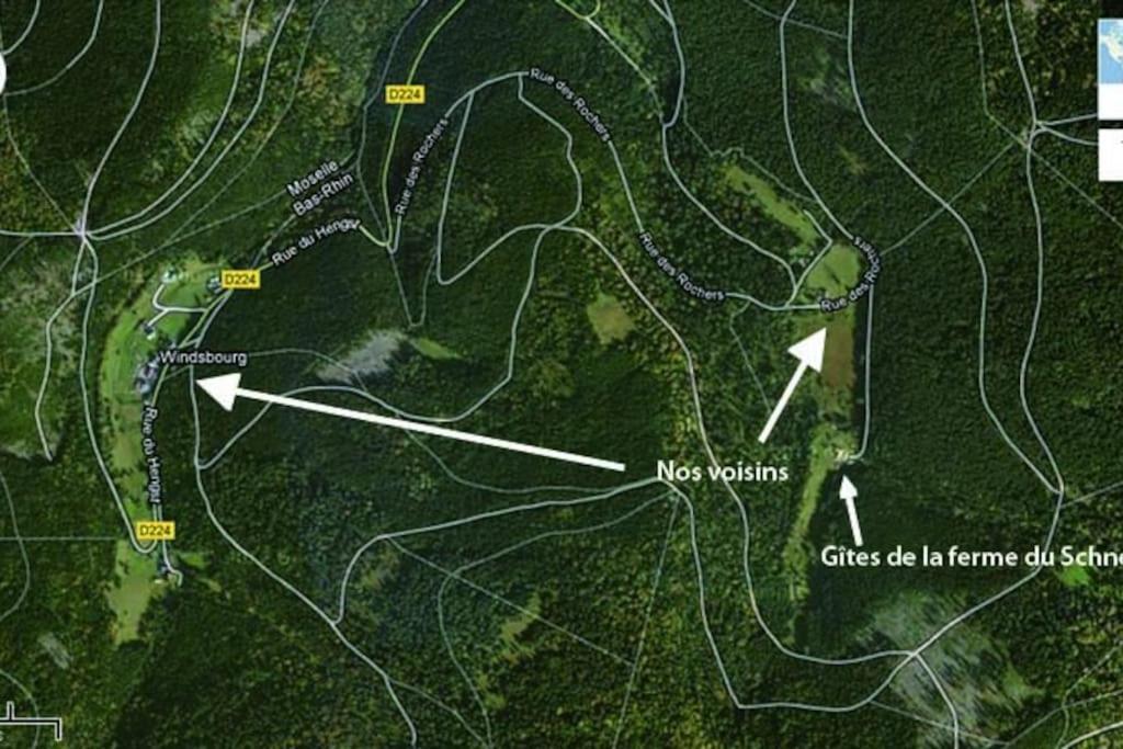 Gite Gretel De La Ferme Du Schneeberg ワンジャンブール エクステリア 写真