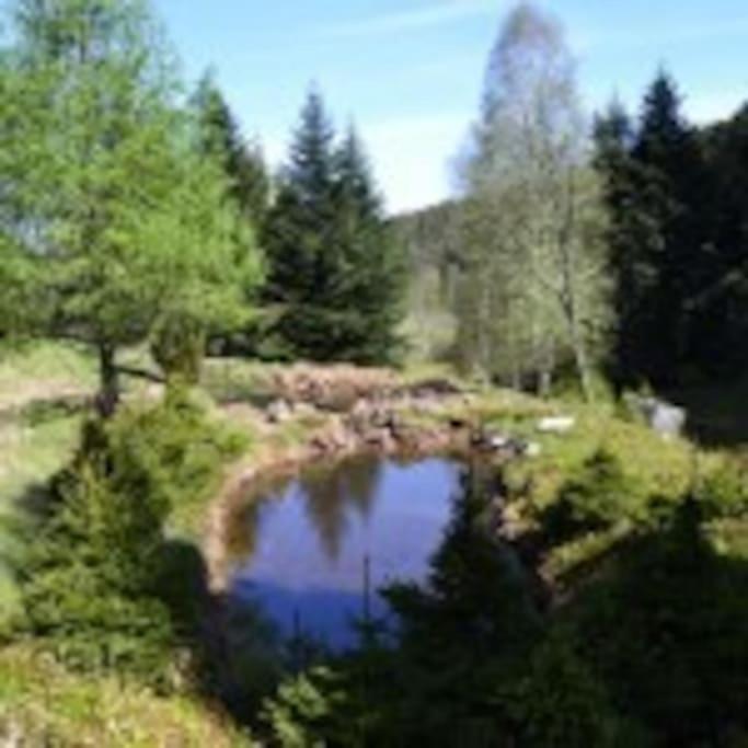 Gite Gretel De La Ferme Du Schneeberg ワンジャンブール エクステリア 写真